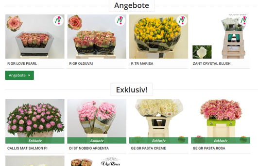 Nagel Blumen Webshop