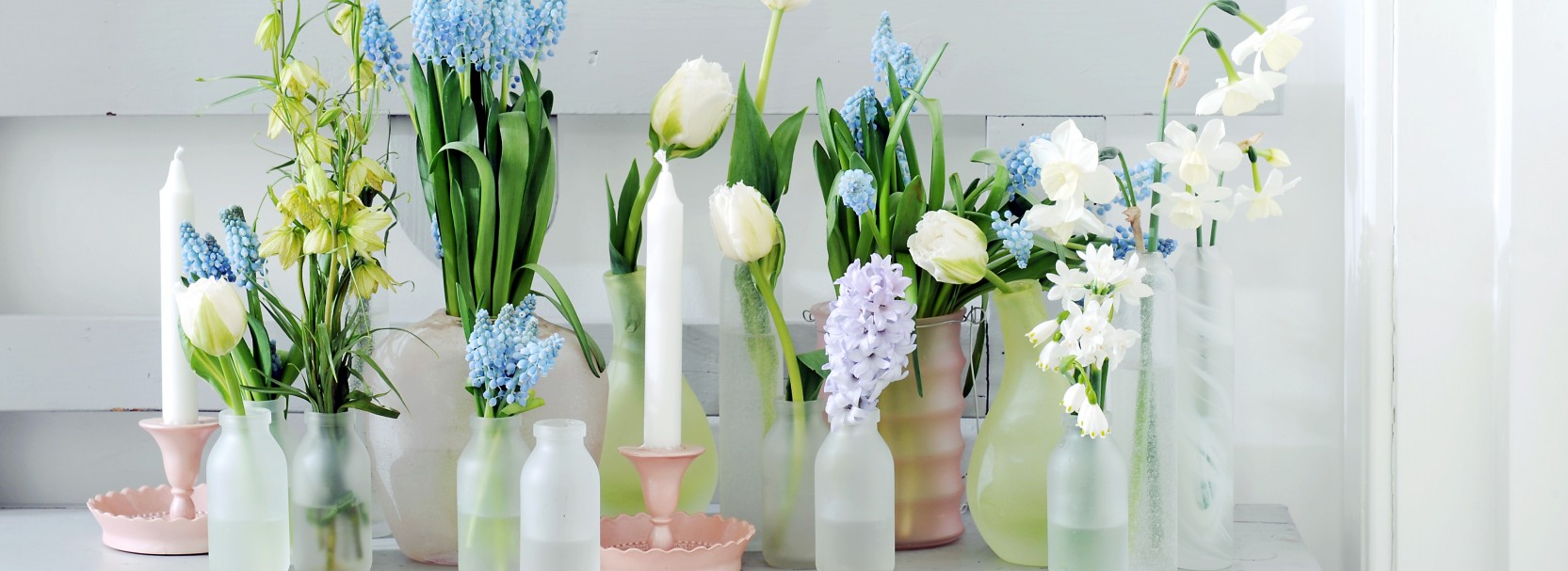 Für die schönsten Blumen und Pflanzen
