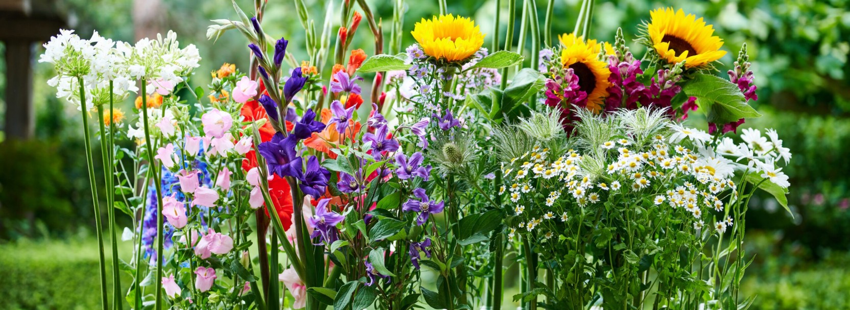 Für die schönsten Blumen und Pflanzen