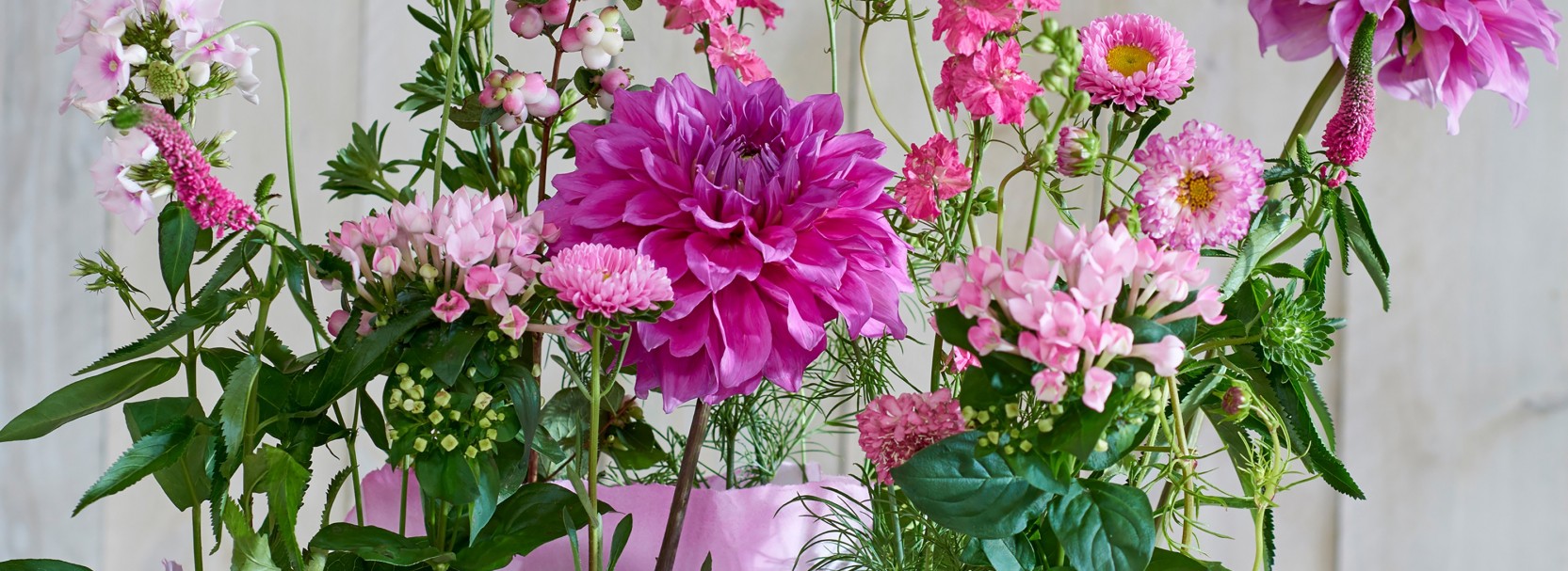 Voor de mooiste bloemen en planten